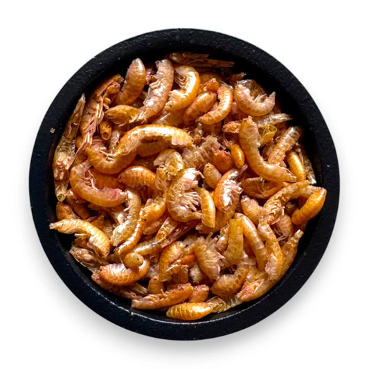 Gammarus getrocknet