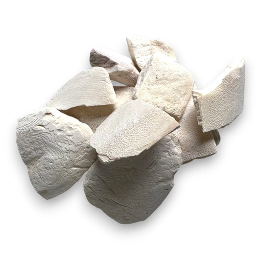 Sepiaschalen Bruch